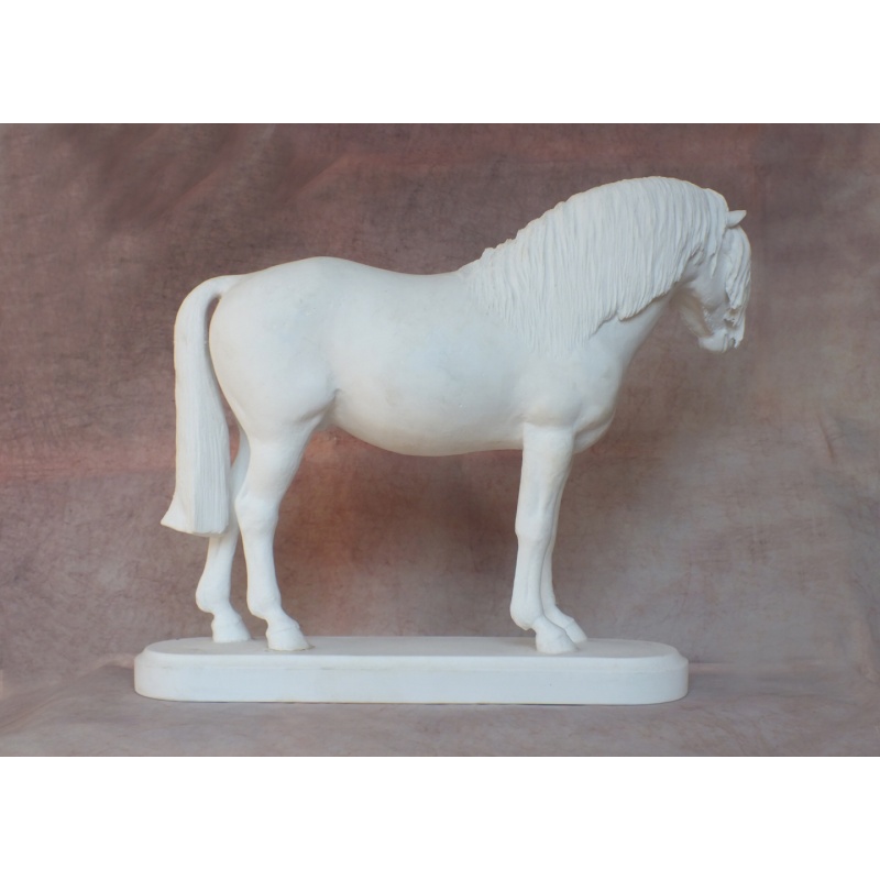 Welsh Pony - Fine Bone China Bisque - Very Rare - Longer Forelock Version