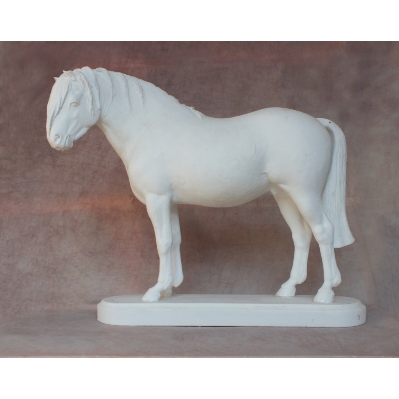 Welsh Pony - Fine Bone China Bisque - Very Rare - Longer Forelock Version