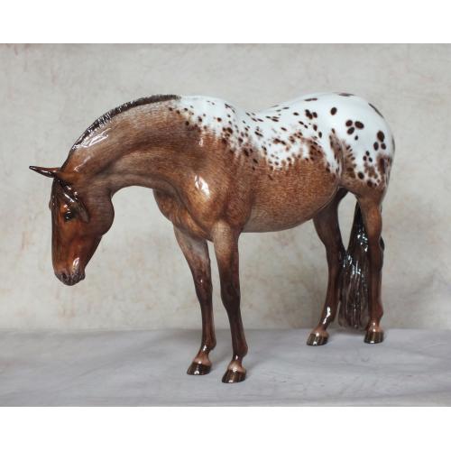 Preciosa, Mare by Eberl, Clay custom to Appaloosa