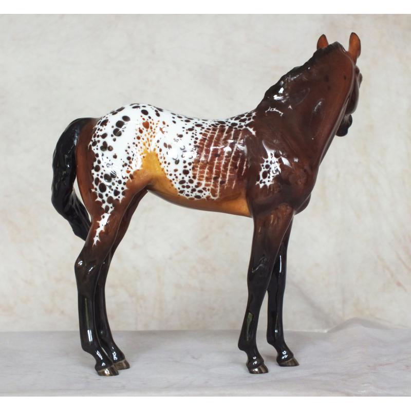 Quarter Horse Filly Foal - Clay Custom - Appaloosa