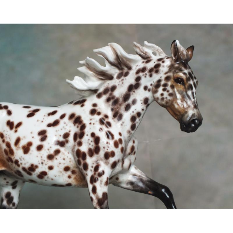 Ranch Mare, Stock Horse Mare - Appaloosa