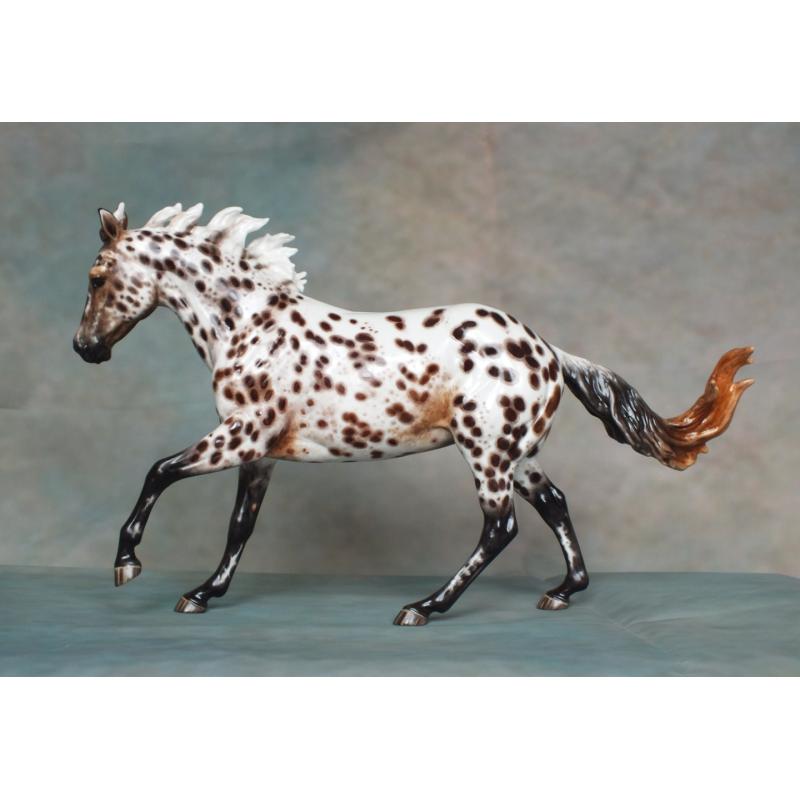 Ranch Mare, Stock Horse Mare - Appaloosa