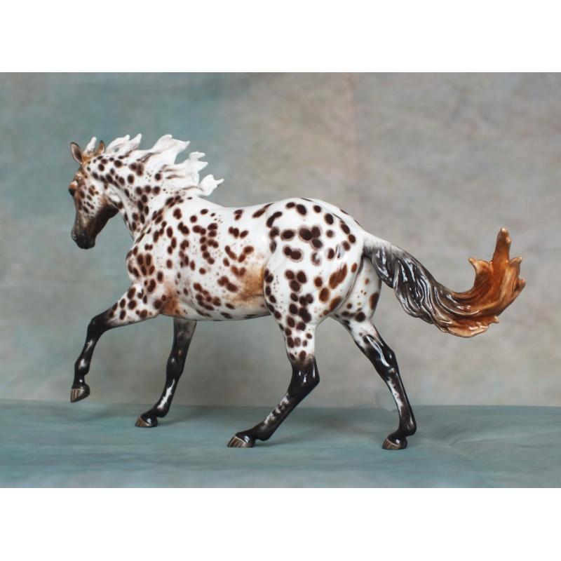 Ranch Mare, Stock Horse Mare - Appaloosa