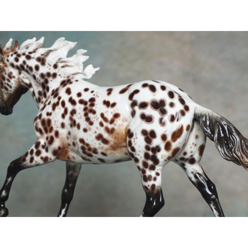 Ranch Mare, Stock Horse Mare - Appaloosa