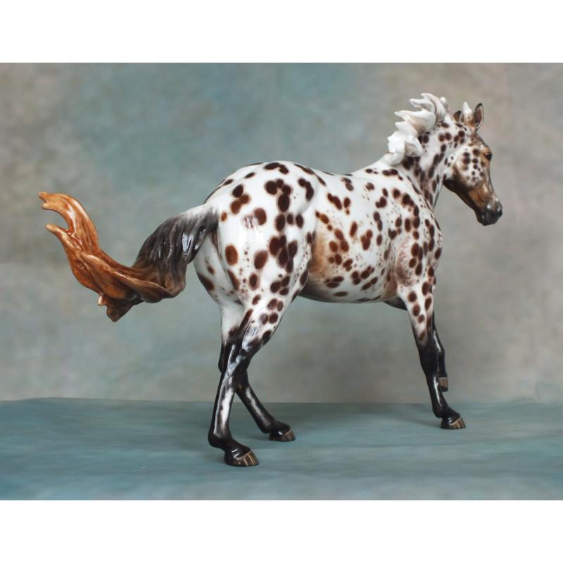 Ranch Mare, Stock Horse Mare - Appaloosa