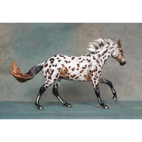 Ranch Mare, Stock Horse Mare - Appaloosa