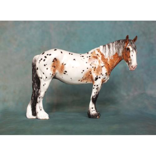 Rose - Spotted Draft Mare - Appaloosa