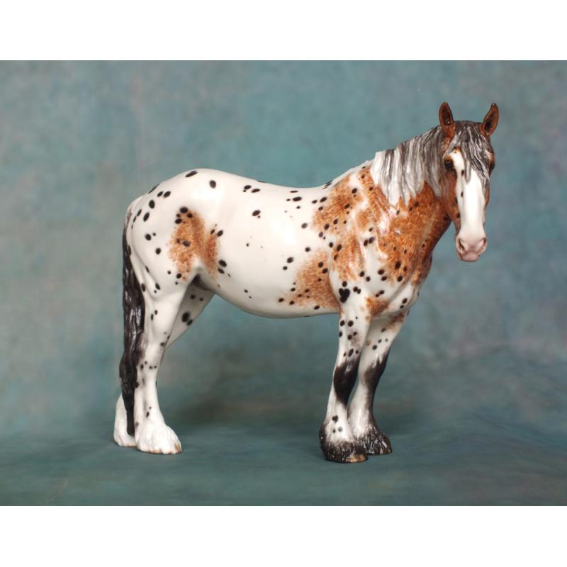 Rose - Spotted Draft Mare - Appaloosa