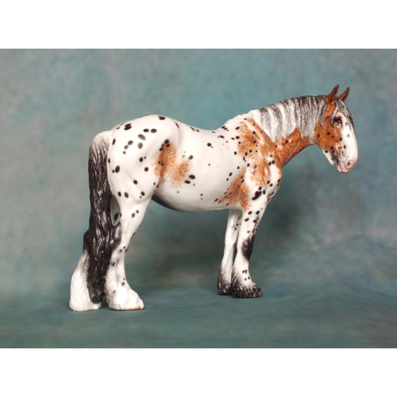 Rose - Spotted Draft Mare - Appaloosa
