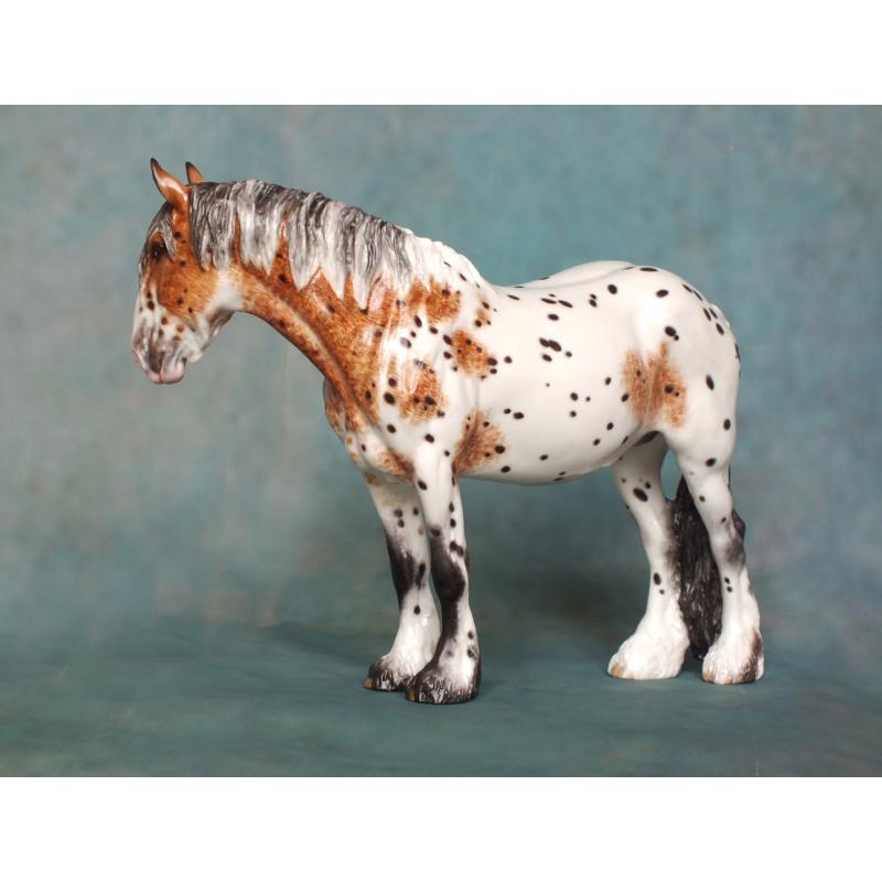 Rose - Spotted Draft Mare - Appaloosa