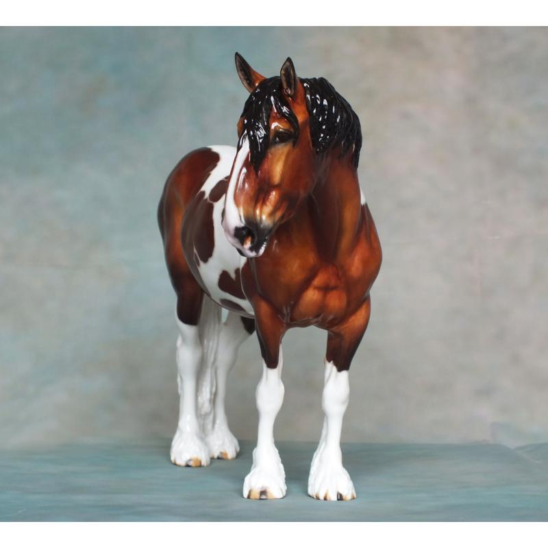 Rose - Spotted Draft / Vanner Mare - Bay Pinto