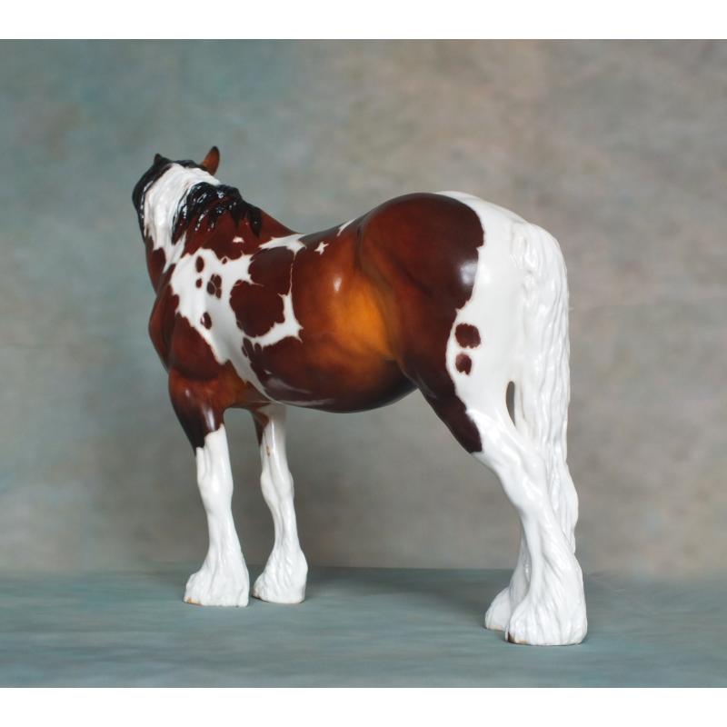 Rose - Spotted Draft / Vanner Mare - Bay Pinto