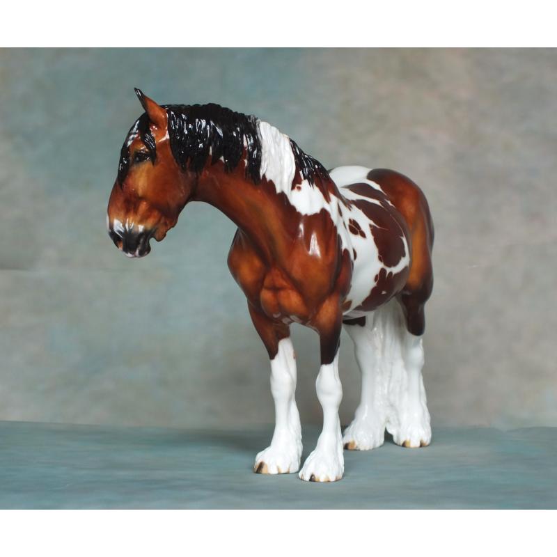 Rose - Spotted Draft / Vanner Mare - Bay Pinto