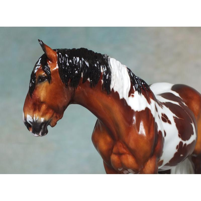 Rose - Spotted Draft / Vanner Mare - Bay Pinto