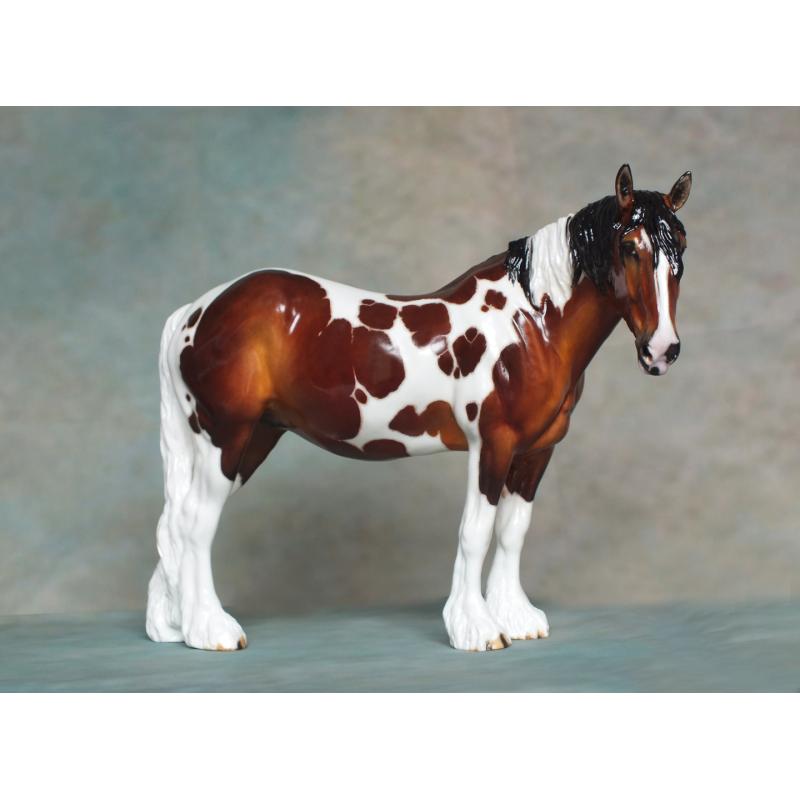 Rose - Spotted Draft / Vanner Mare - Bay Pinto