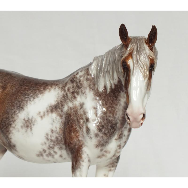 Rose - Draft / Shire Mare - Roan Sabino