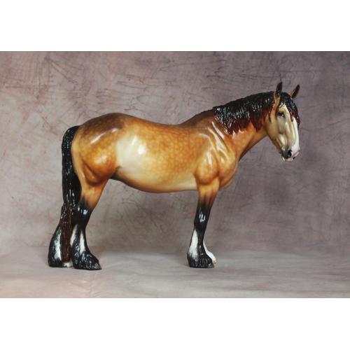 Rose - Draft / Shire Mare - Sandy Dapple Bay