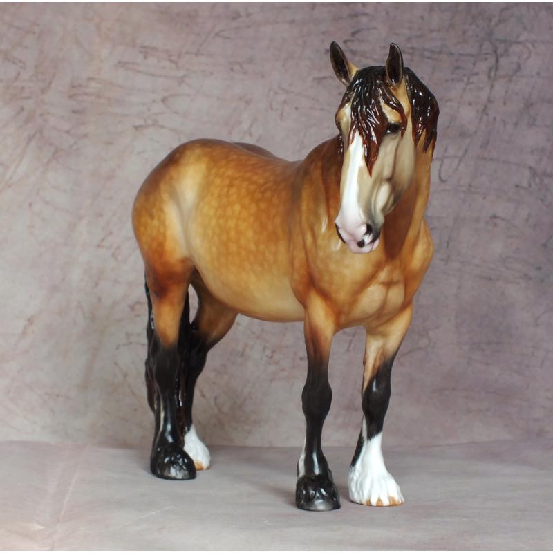 Rose - Draft / Shire Mare - Sandy Dapple Bay