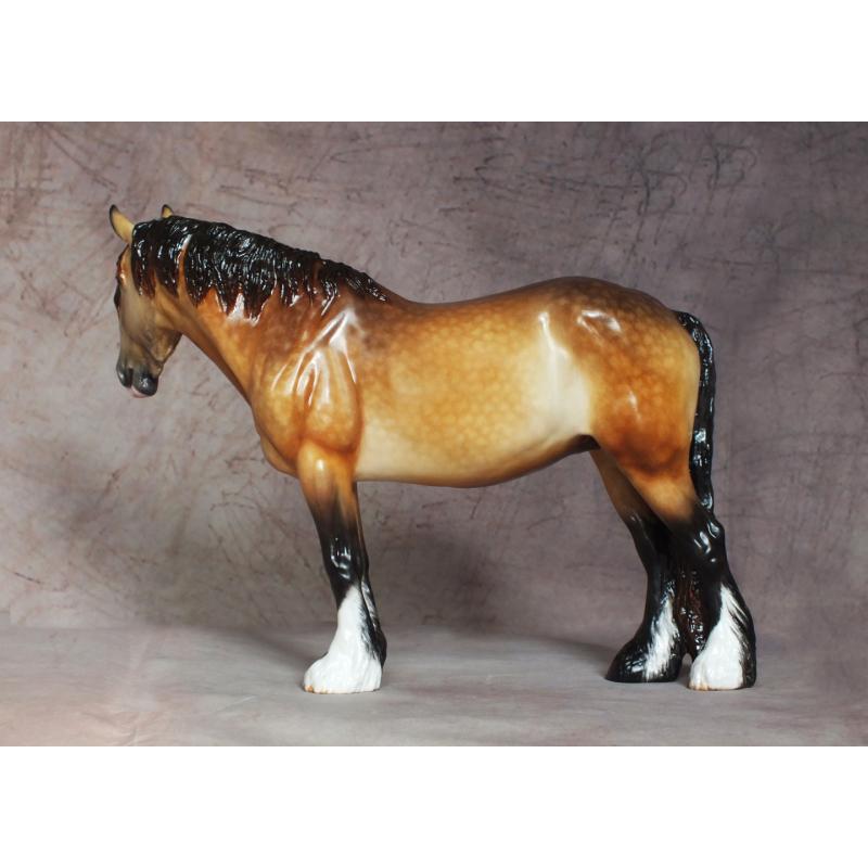 Rose - Draft / Shire Mare - Sandy Dapple Bay