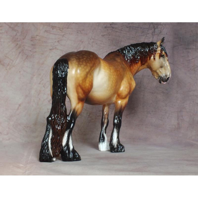 Rose - Draft / Shire Mare - Sandy Dapple Bay