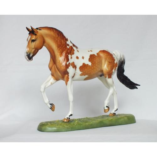 Roy le Deuxieme, Stallion - Dapple Bay Pinto