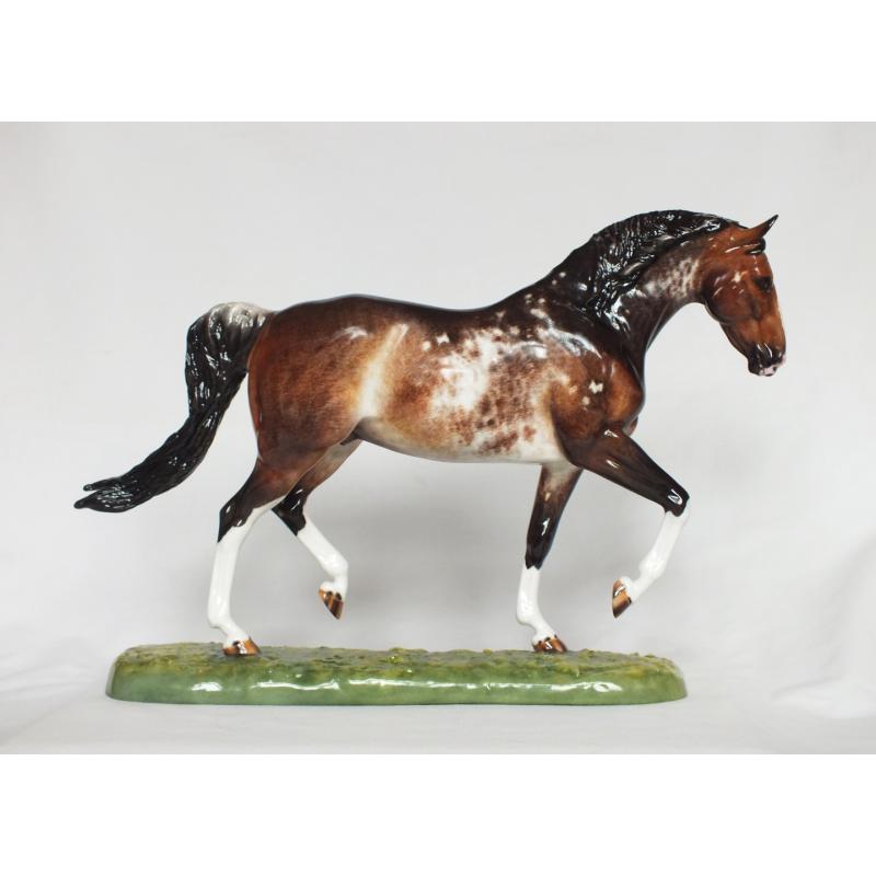 Roy le Deuxieme, Warmblood Stallion - Bay Roan