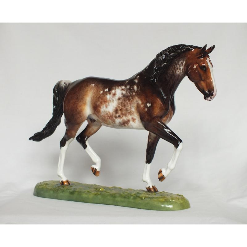 Roy le Deuxieme, Warmblood Stallion - Bay Roan