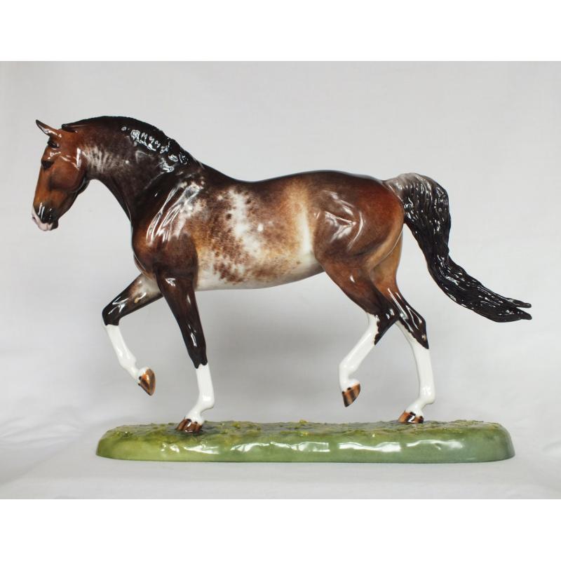 Roy le Deuxieme, Warmblood Stallion - Bay Roan