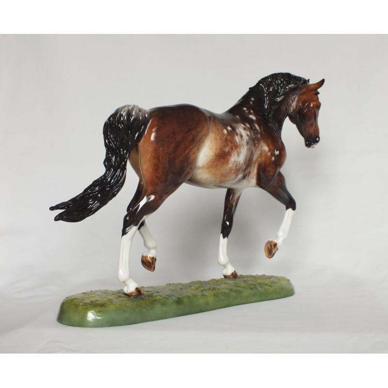 Roy le Deuxieme, Warmblood Stallion - Bay Roan