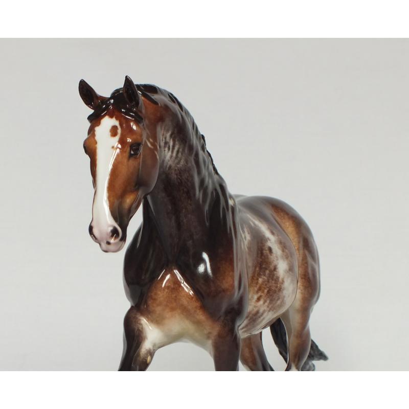 Roy le Deuxieme, Warmblood Stallion - Bay Roan