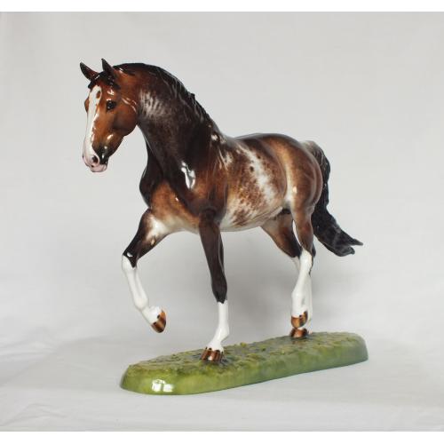 Roy le Deuxieme, Warmblood Stallion - Bay Roan