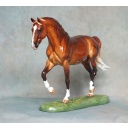 Roy le Deuxieme, Warmblood Stallion - Dapple Chestnut