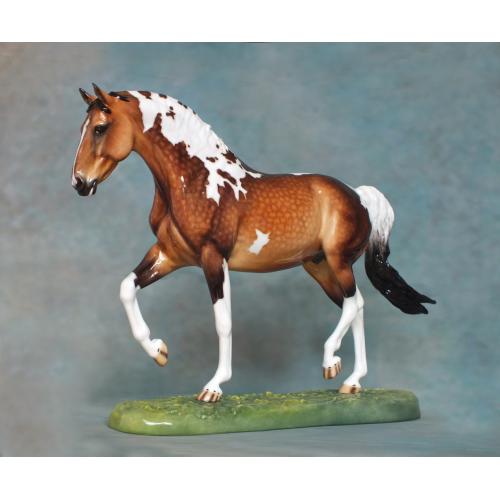 Roy le Deuxieme, Warmblood Stallion, Dapple Buckskin Pinto