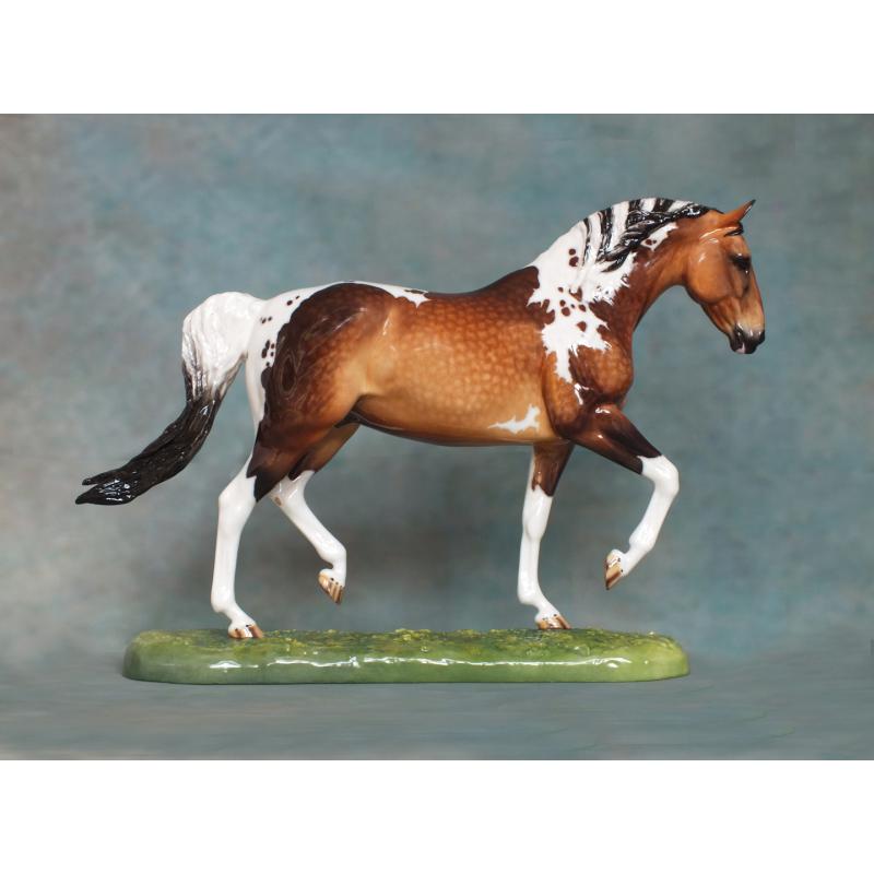 Roy le Deuxieme, Warmblood Stallion, Dapple Buckskin Pinto