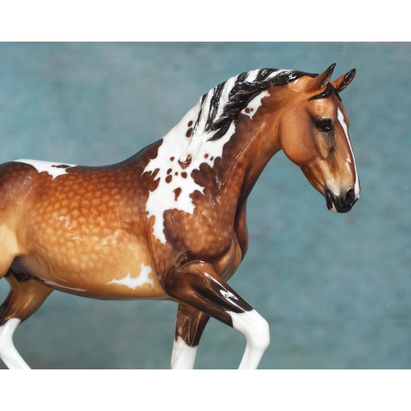 Roy le Deuxieme, Warmblood Stallion, Dapple Buckskin Pinto