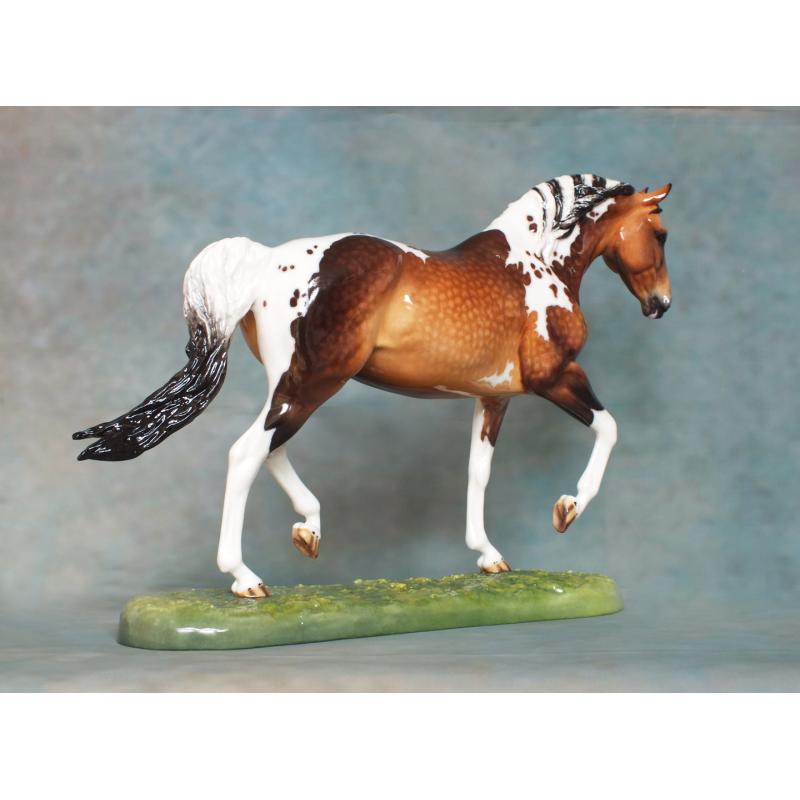 Roy le Deuxieme, Warmblood Stallion, Dapple Buckskin Pinto