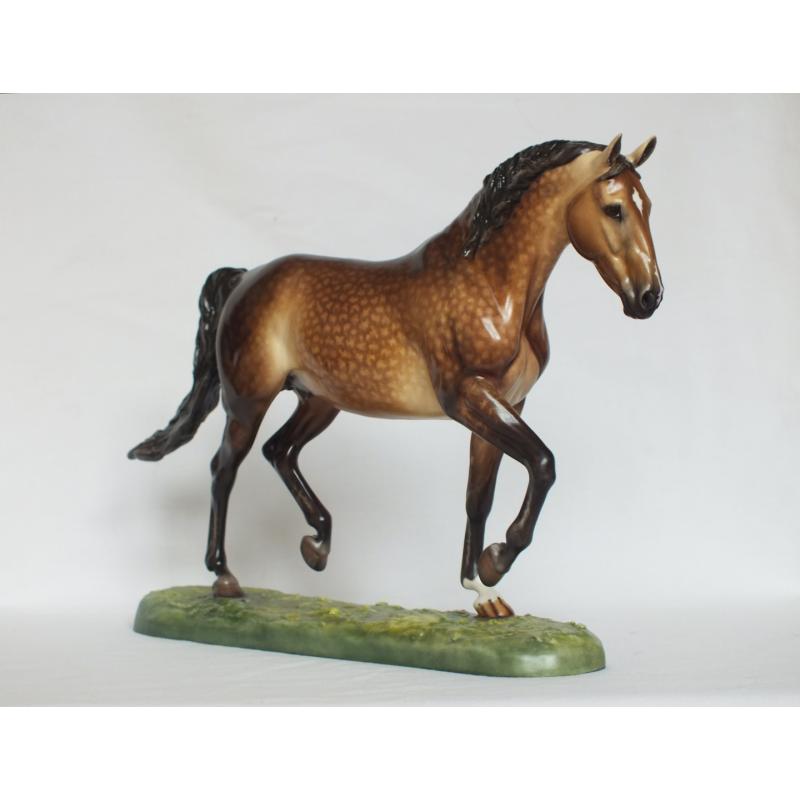 Roy le Deuxieme, Warmblood Stallion, Rose Dapple Grey