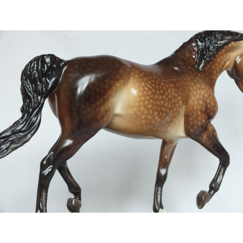 Roy le Deuxieme, Warmblood Stallion, Rose Dapple Grey