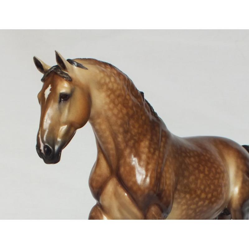 Roy le Deuxieme, Warmblood Stallion, Rose Dapple Grey