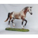 Roy le Deuxieme, Warmblood Stallion - Rose Dapple Grey