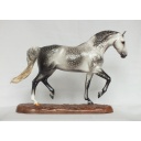 Roy le Deuxieme, Warmblood Stallion - Dapple Grey