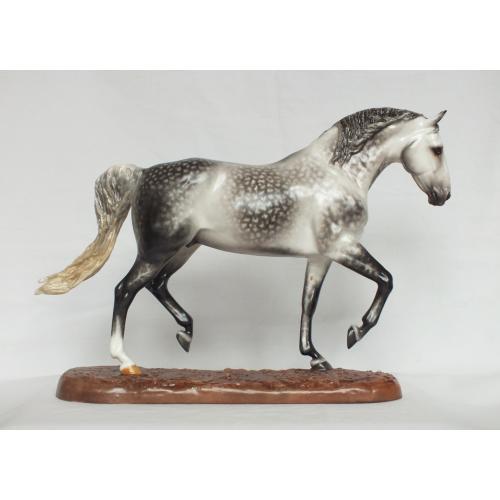 Roy le Deuxieme, Warmblood Stallion - Dapple Grey