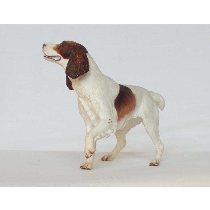 Albany Fine China Springer Spaniel Dog