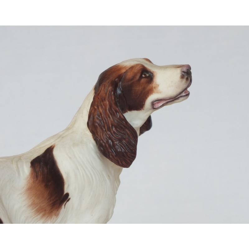 Albany Fine China Springer Spaniel Dog