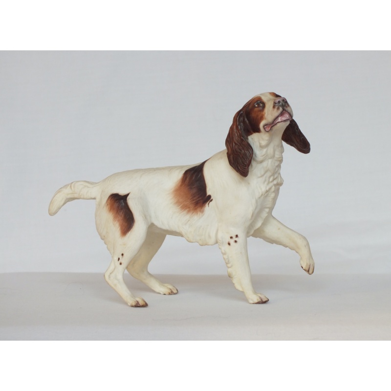 Albany Fine China Springer Spaniel Dog
