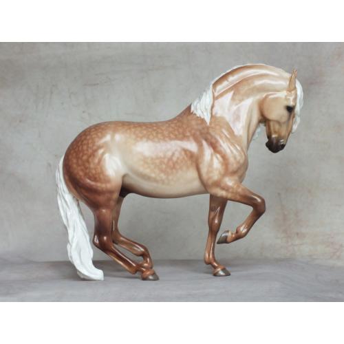 Andalusian in Piaffe - Dapple Light Palomino