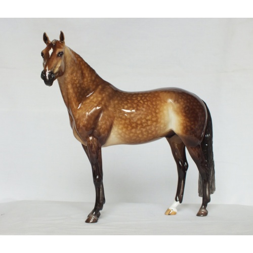 Tamerlano, Hanoverian Stallion - Rose Dapple Grey