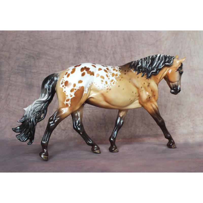 Cowboy Tater, Stock Horse - Dun Blanket Appaloosa