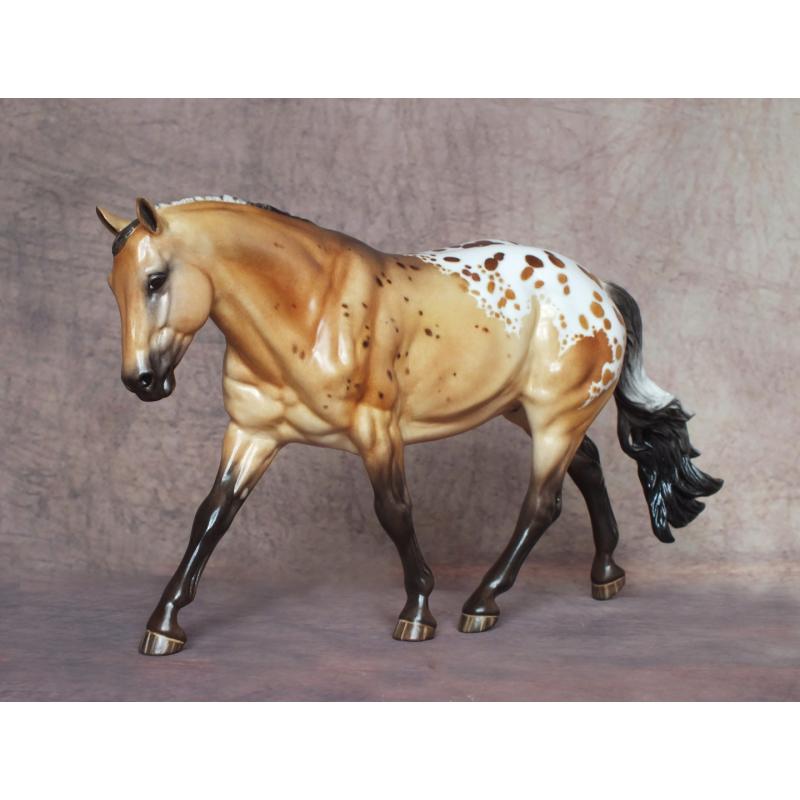 Cowboy Tater, Stock Horse - Dun Blanket Appaloosa