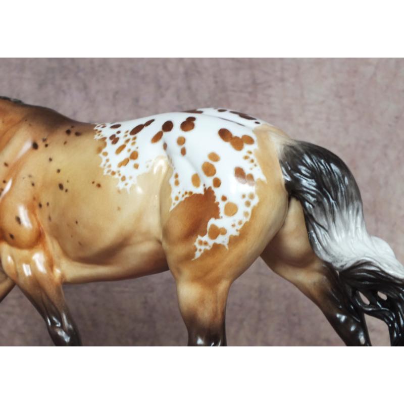 Cowboy Tater, Stock Horse - Dun Blanket Appaloosa